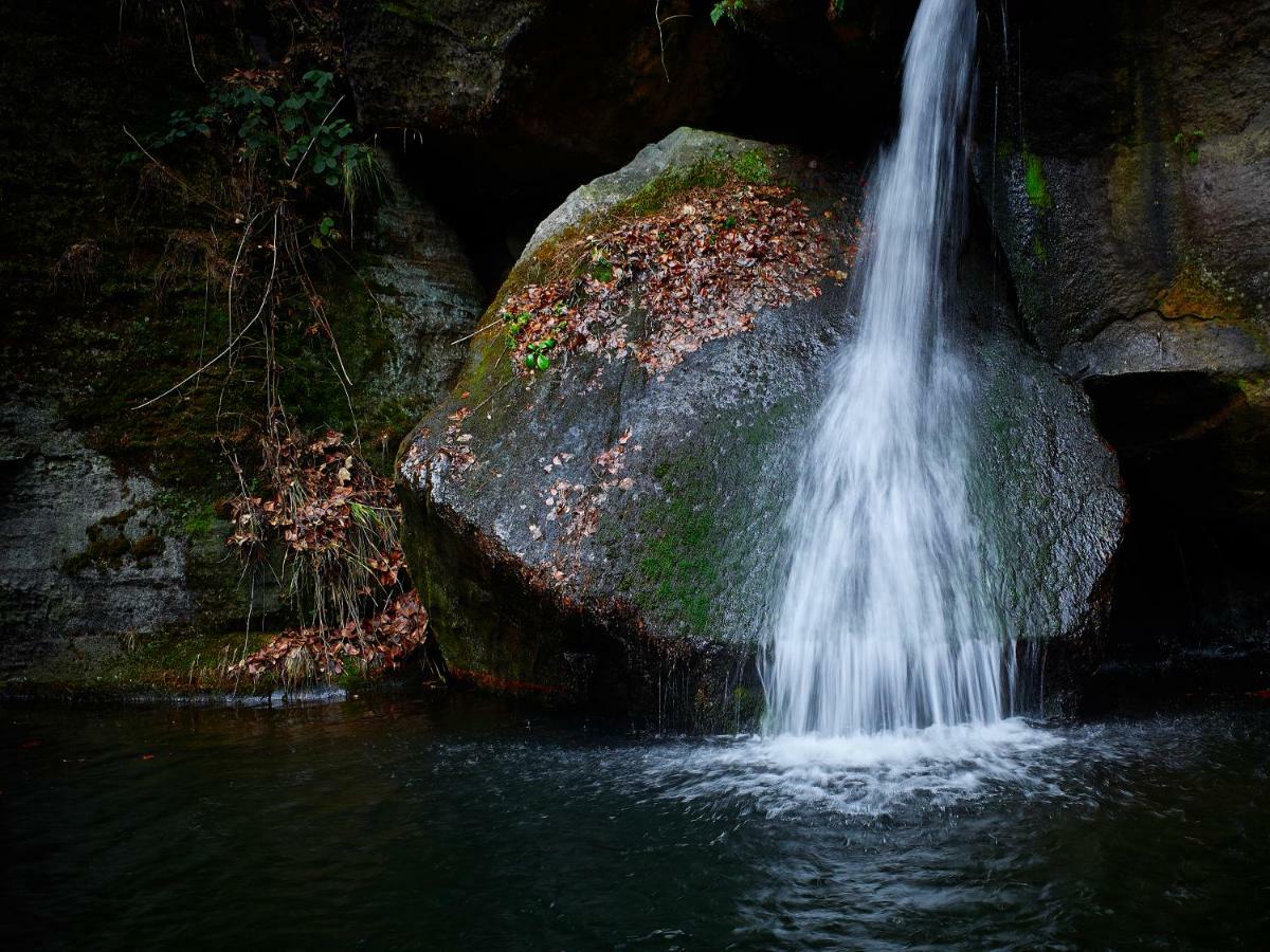 U Kosti - Bohemian Switzerland Daire Decin Dış mekan fotoğraf