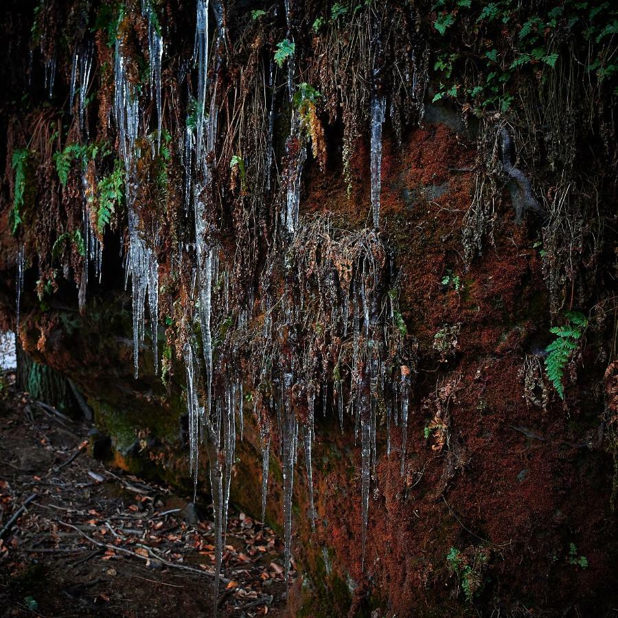 U Kosti - Bohemian Switzerland Daire Decin Dış mekan fotoğraf