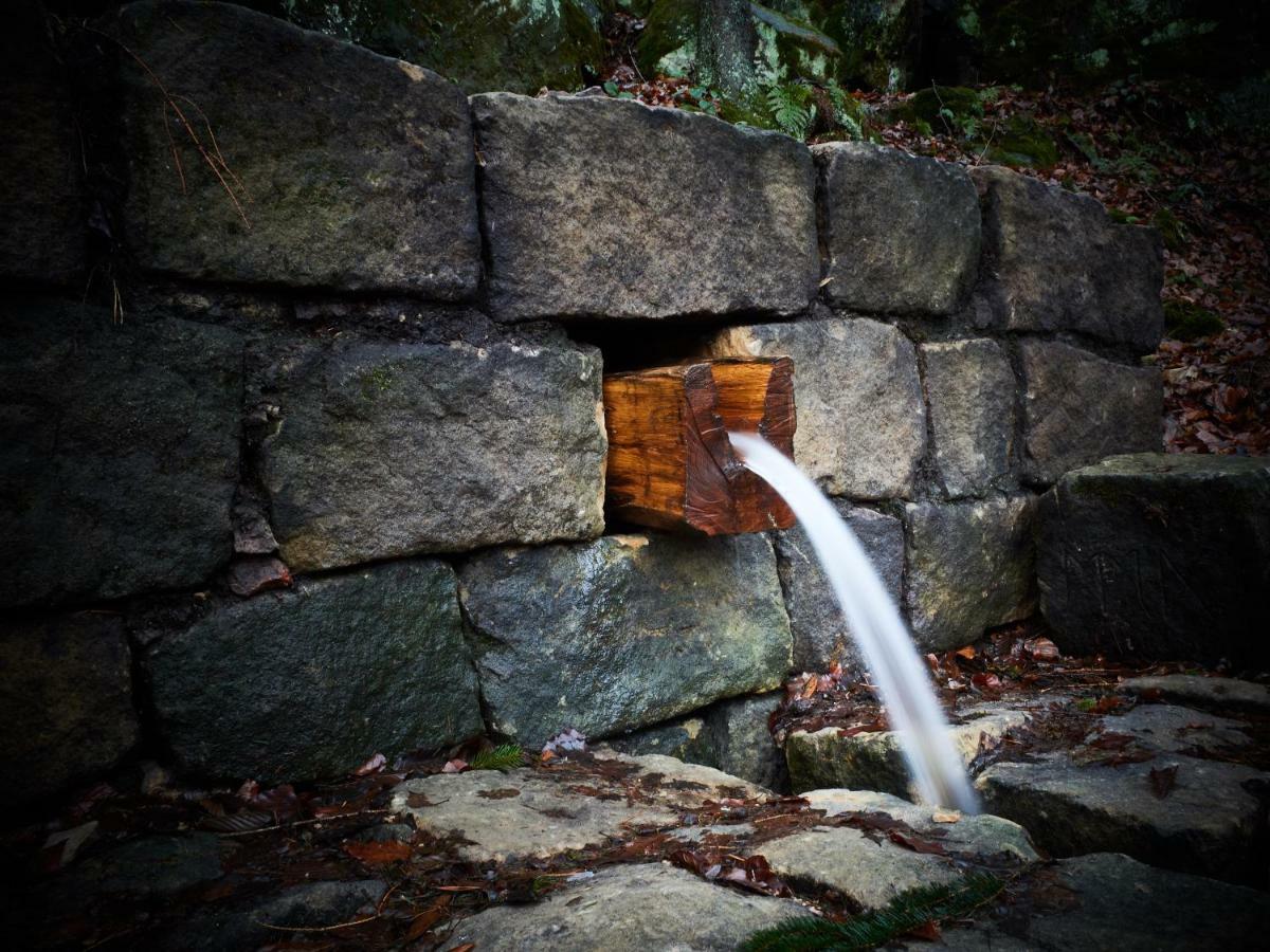 U Kosti - Bohemian Switzerland Daire Decin Dış mekan fotoğraf